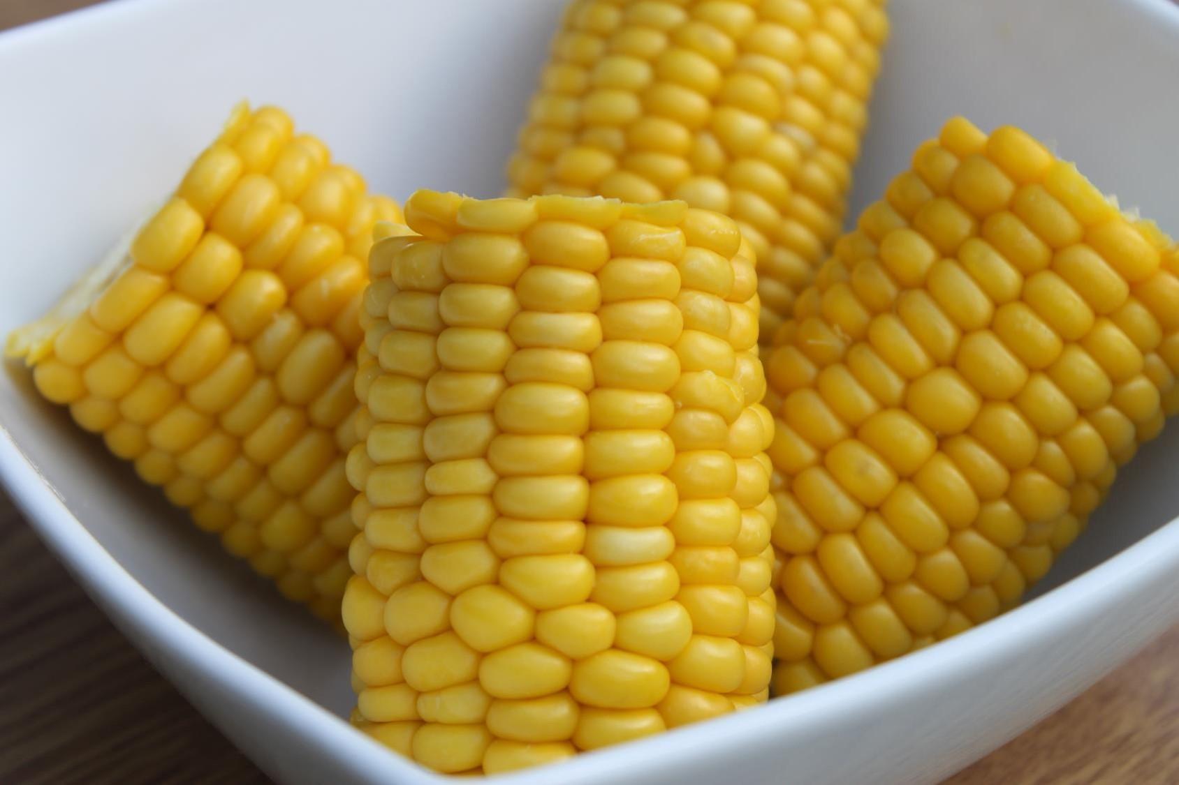 corn3