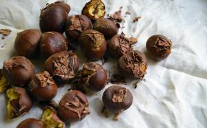 Winter-Warming Roasted Chestnuts